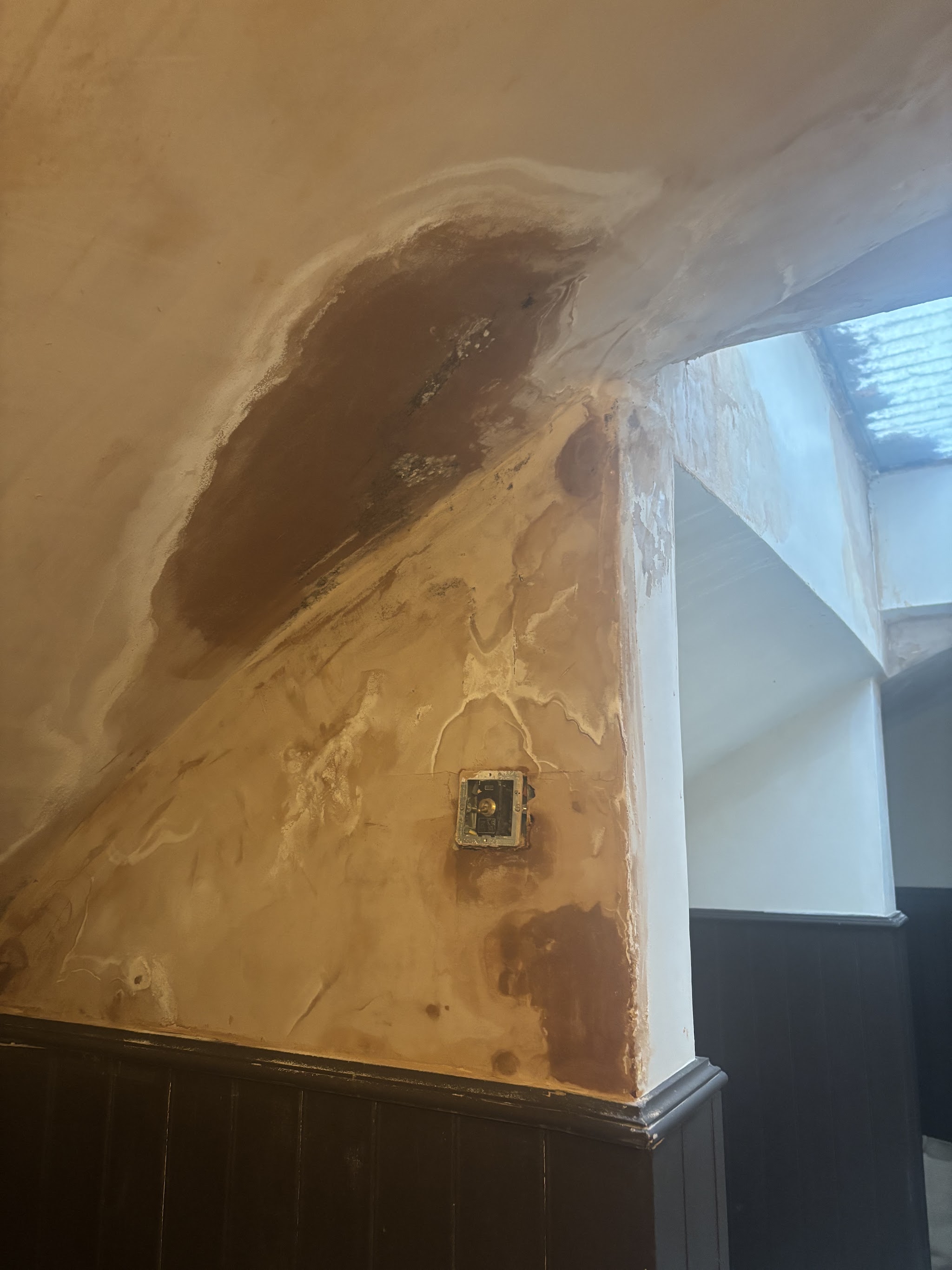 Damp-stained, blown plaster on an internal wall before treatment